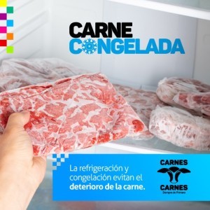 ¿Cómo descongelar la carne?