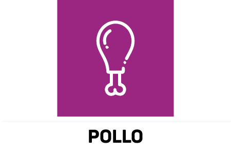 Pollo
